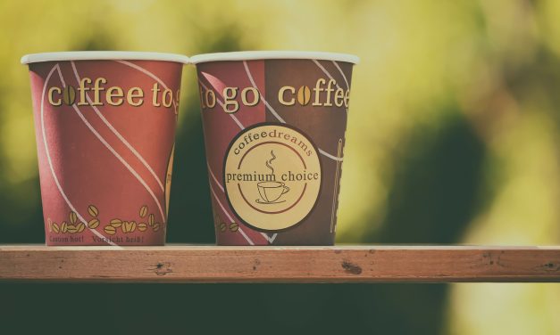 Les gobelets jetables et réutilisables : lesquels utiliser pour votre fontaine à eau ?